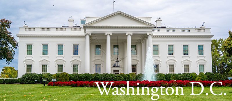 Make small moves from New York to Washington, D.C., or vice versa, effortless with HandyVan.